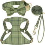HarnCollar and Leash Set